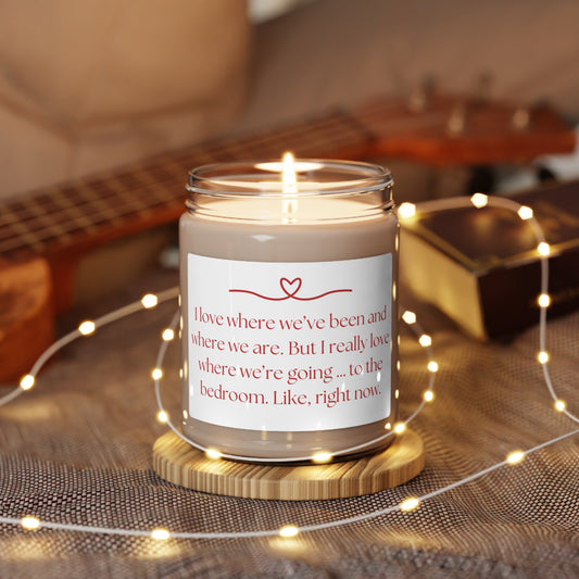 Sensual Delights: Hand-Poured Scented Soy Valentine Candle with Spicy Charm - Perfect Gift for Romance on Etsy +18 Adult Swim